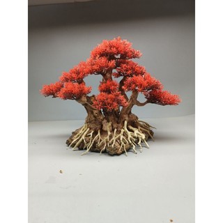 Cây gỗ lũa Bonsai dành cho bể cá cảnh, bể thủy sinh. Mẫu Cụm rừng cho bể cá 50-90 cm