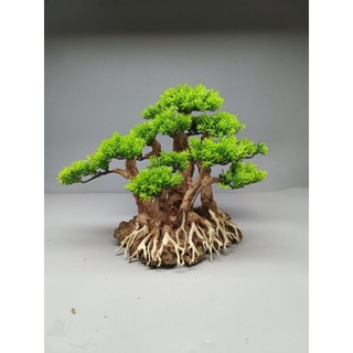 Cây gỗ lũa Bonsai dành cho bể cá cảnh, bể thủy sinh. Mẫu Cụm rừng cho bể cá 50-90 cm
