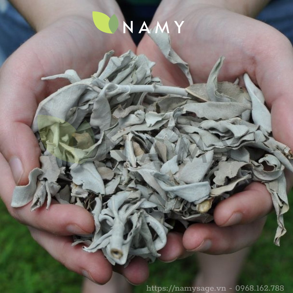 [NHẬP KHẨU] Xô Thơm Trắng ( White Sage) Thảo mộc Thanh tẩy | Shopee ...