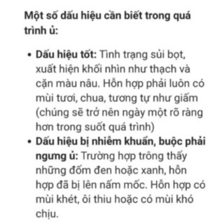 Con Giống Scoby Làm Trà Kombucha - Con Giống Làm Trà Kombucha Kèm 200ml Nước Mồi