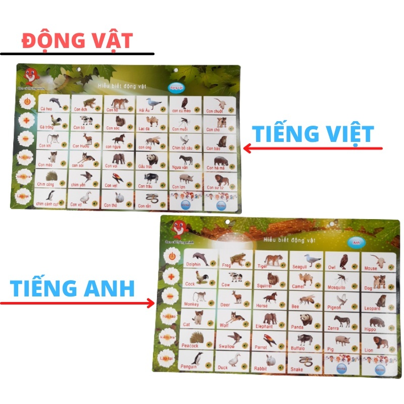 Bảng đọc chữ cái Điện Tử thông minh đa năng 5 tờ cho bé