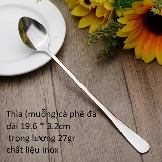 Giá Sỉ (R20) Combo 10 Thìa Đá Inox 20cm - Muỗng Cán Dài Dùng Khuấy Cà Phê & Sinh Tố, Dày Đẹp