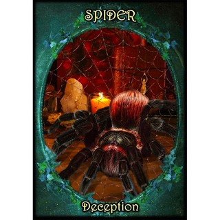 Bộ Bài Witches Familiars Oracle (Mystic House Tarot) - Bài Gốc Authentic Chính Hãng 100%