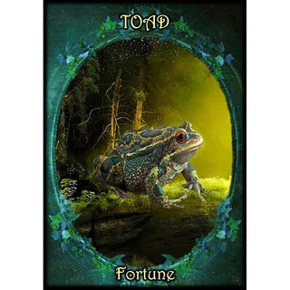 Bộ Bài Witches Familiars Oracle (Mystic House Tarot) - Bài Gốc Authentic Chính Hãng 100%