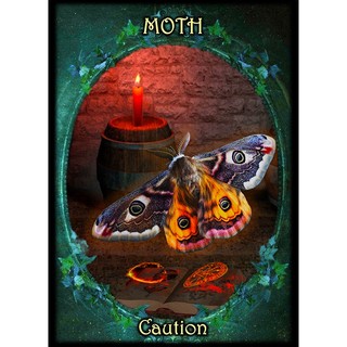 Bộ Bài Witches Familiars Oracle (Mystic House Tarot) - Bài Gốc Authentic Chính Hãng 100%