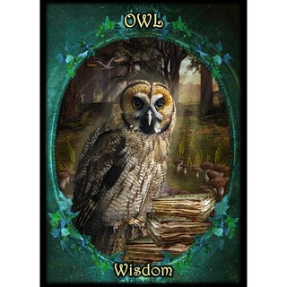Bộ Bài Witches Familiars Oracle (Mystic House Tarot) - Bài Gốc Authentic Chính Hãng 100%