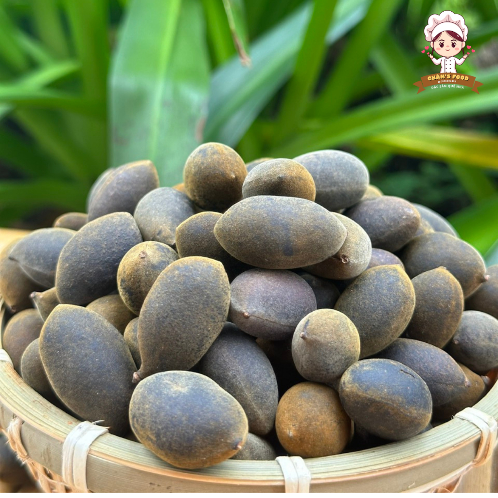 [Tặng Kèm Quà] TRÁI SAY RỪNG CHÍN CÂY TỰ NHIÊN VỊ CHUA NGỌT, QUẢ TO ...