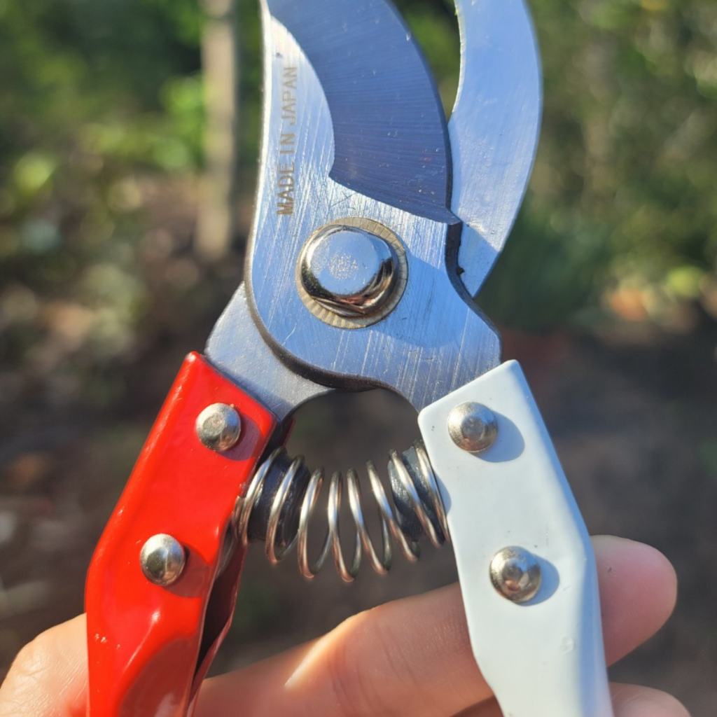 (FREESHIP) Combo Kéo Cắt Cành Tỉa Cành Cưa Gấp Gọn SK5 Japan Dụng Cụ Làm Vườn Cây Cảnh Bonsai - GD Smart