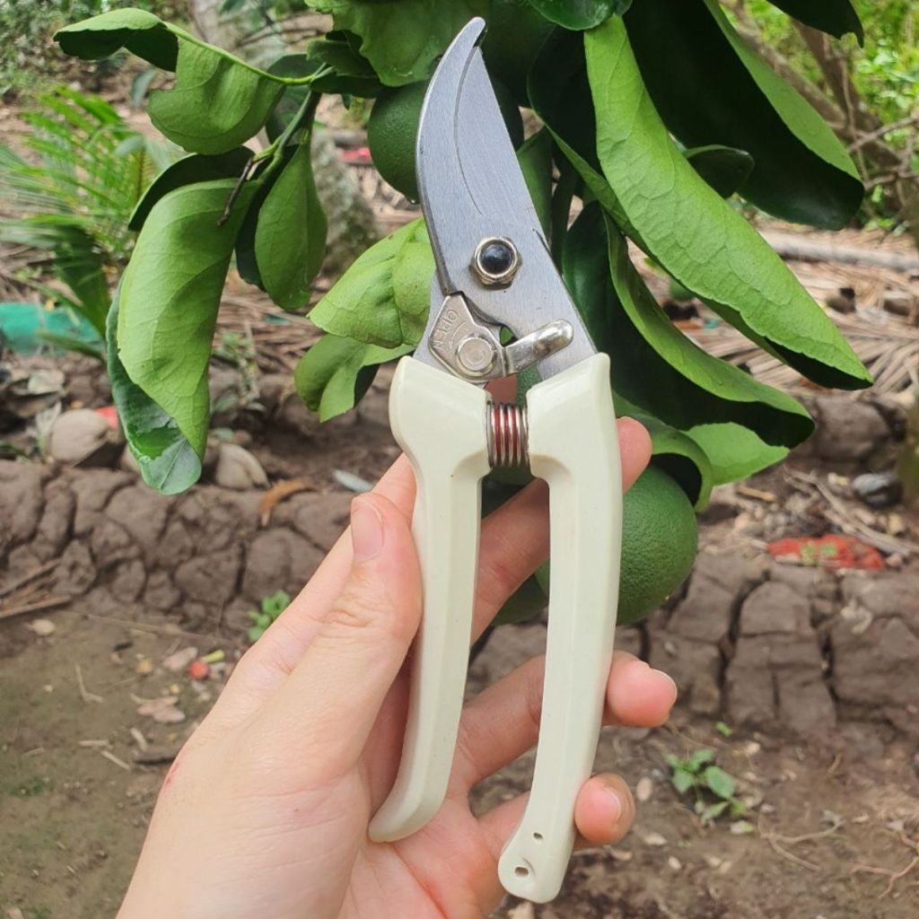 (FREESHIP) Combo Kéo Cắt Cành Tỉa Cành Cưa Gấp Gọn SK5 Japan Dụng Cụ Làm Vườn Cây Cảnh Bonsai - GD Smart