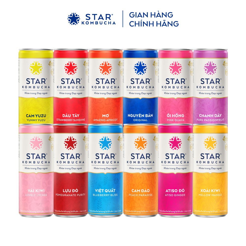 Ảnh Combo 2 thùng 12 lon trà lên men STAR KOMBUCHA hữu cơ mix vị (250ml/lon) 3