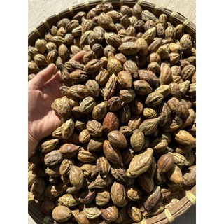 Quả Kha Tử Ngâm Mật Ong Hộp 500g [ DÙNG ĐƯỢC CHO CẢ PHỤ NỮ CÓ BẦU BÀ TRẺ NHỎ] Thưốc Ho Tự Nhiên An Toàn Cho Sức Khoẻ