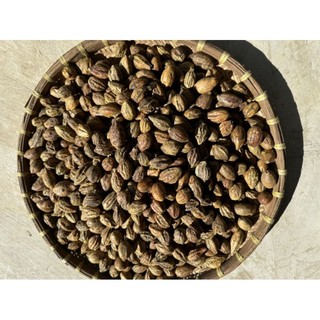 Quả Kha Tử Ngâm Mật Ong Hộp 500g [ DÙNG ĐƯỢC CHO CẢ PHỤ NỮ CÓ BẦU BÀ TRẺ NHỎ] Thưốc Ho Tự Nhiên An Toàn Cho Sức Khoẻ