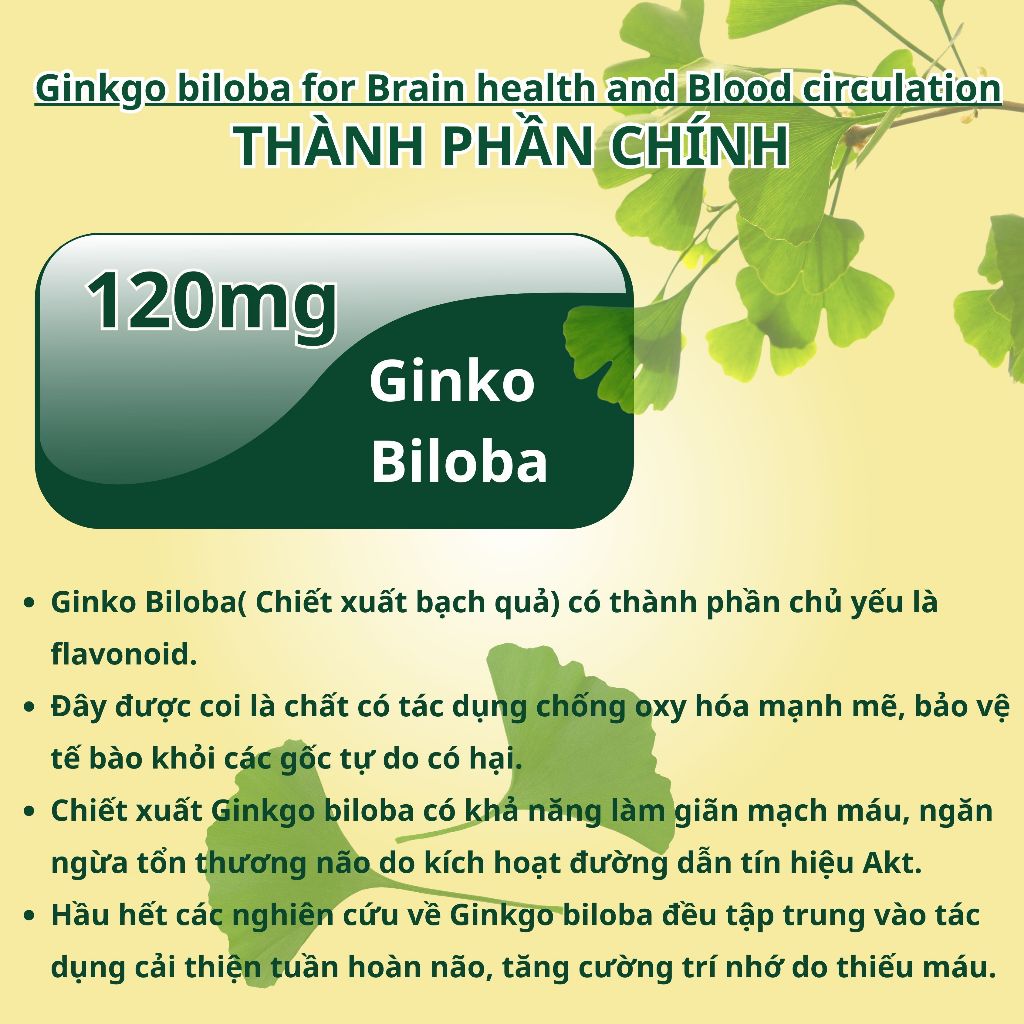 Ảnh Viên uống bổ não NUTRIONELIFE Ginkgo Biloba Tăng Cường Trí Nhớ,Giảm Đau Đầu,Chóng Mặt,Rối Loạn Tiền Đình 20 Viên 2