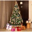 Cây Thông Noel Cao Cấp - Cây Thông Noel Xanh Trang Trí Giáng Sinh