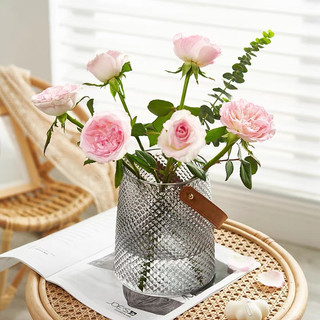Bình hoa quai xach thủy tinh phong cách bắc âu decor phòng ngủ và trang trí phòng khách cao cấp