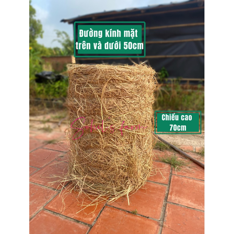 RƠM CUỘN Lớn-(Khách đặt 1 cuộn/1 ₫ơn)TRANG TRÍ Noel, Tết | Shopee Việt Nam