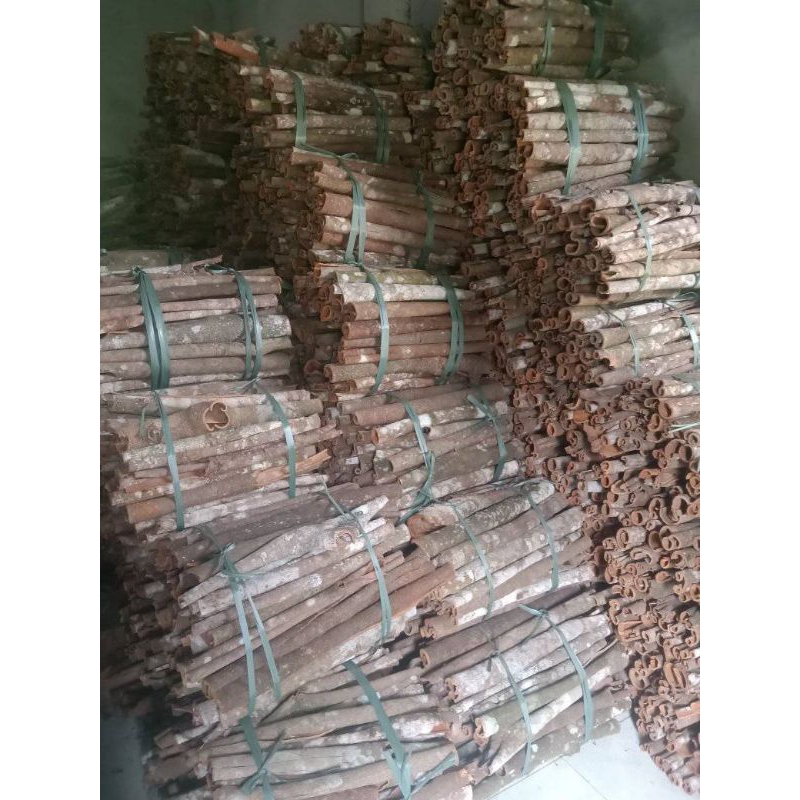 Quế cây Bảo Châu Chính Hiệu Thanh/Khúc khô tự nhiên xuất khẩu, thơm lâu, gia vị nấu phở, xông phòng túi 500gr