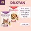 Sữa Cho Chó Mèo Dạng Bột Dr.Kyan Precaten Hộp 110gr Giúp Chó Mèo Phát Triển Khỏe Mạnh - KIKINO