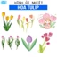 Hình ủi, Hình Ép Nhiệt Hoa Tulip 38