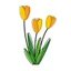 Hình ủi, Hình Ép Nhiệt Hoa Tulip 38