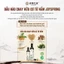 Dầu hào nấm chay, nước tương ít muối hữu cơ 210ml - chay mặn đều dùng được - JoySpring - nhập khẩu Đài Loan