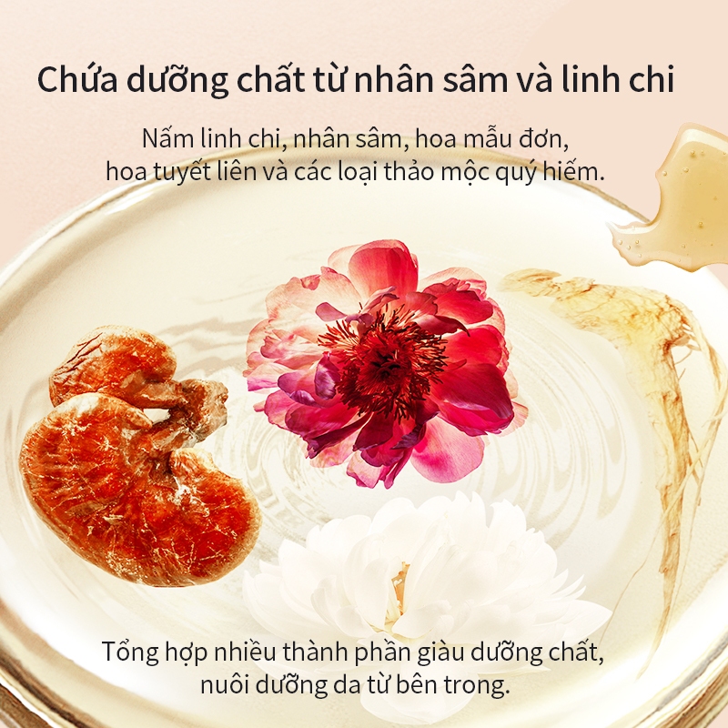 Phấn phủ dạng nén HEXZE 5g, mỏng nhẹ, kiềm dầu, kháng nước, giữ lớp nền lâu trôi