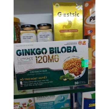 HOẠT HUYẾT DƯỠNG NÃO GINKGO BILOBA EXTRACT 120mg -, hộp 30 viên, Giúp bổ sung dưỡng chất cho não