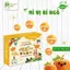 HSD 14/08/2026 - Mì ăn dặm hữu cơ cho bé từ 7 tháng tuổi Organic Baby Golden Noodle & MenNoSato