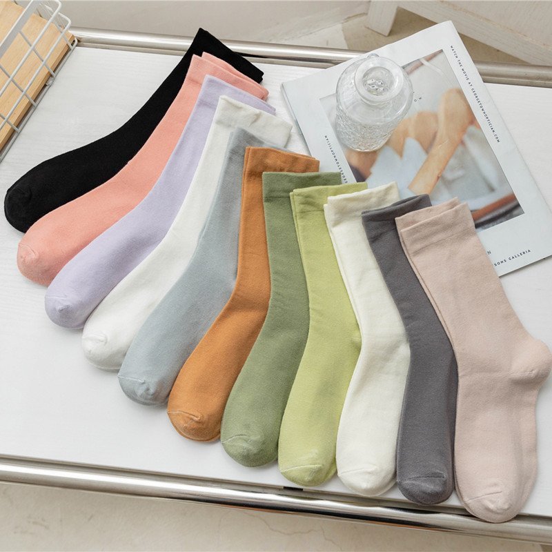 Tất cổ cao nữ cotton trơn mịn - Vỡ nữ giữ ấm, khử mùi tốt ZANABRA T786
