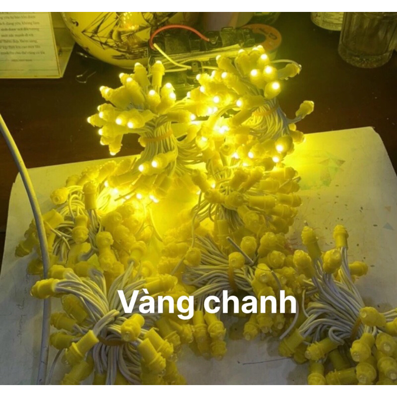 Dây đèn f5, Led đúc, Led ruồi, Led cuốn cây, Led quảng cáo trang trí ...