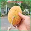 Bọt Biển Sáng Tạo Sơn Hiệu Ứng 15,5cm Minh Phát - Màu Cà Phê