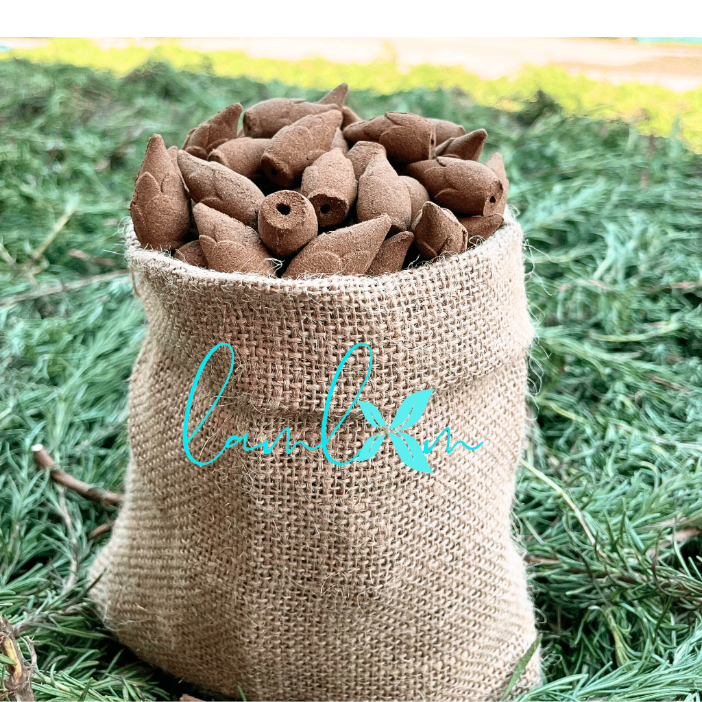 Trầm nụ Rosemary Lam Lam nụ khói ngược tự nhiên từ cây Hương Thảo