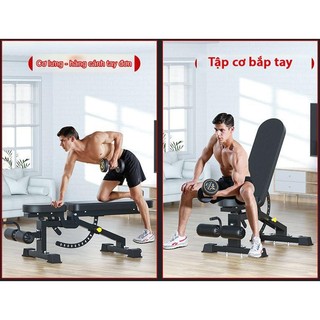 Ghế Tập Tạ,Ghế Đẩy Tạ Đa Năng AC5007 Siêu Bền Và Chắc Chắn Nhập Khẩu Chính Hãng Đại Nam Sport