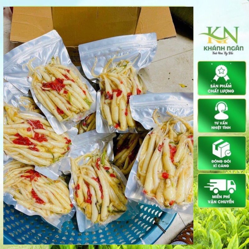 Đẳng Sâm Rừng Tự Nhiên Tây Bắc – Hàng Khô / Tươi – Dược Liệu Tây Bắc