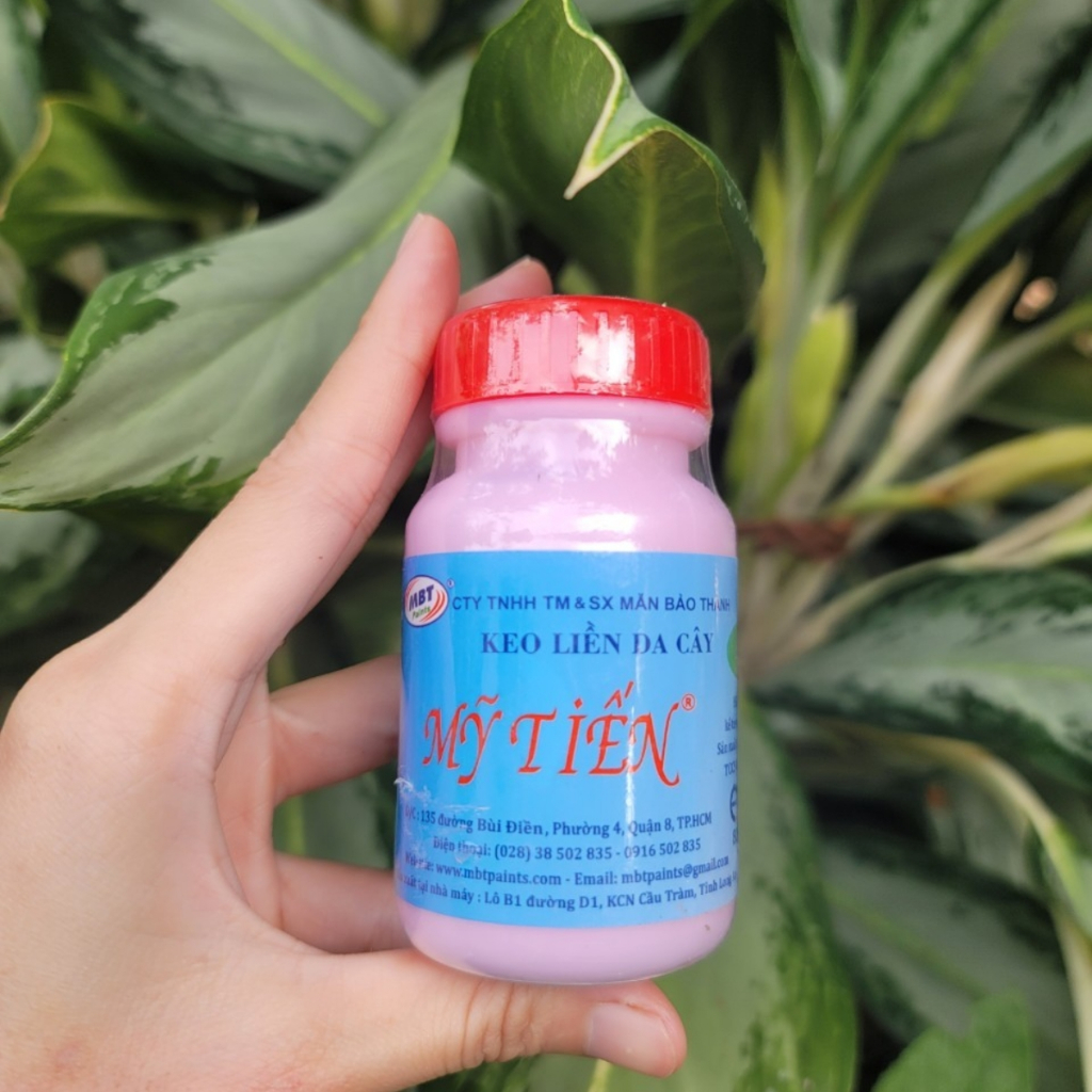 Keo Liền Da Cây Mỹ Tiến Liền Nhanh Vết Cắt - Dụng Cụ Nông Nghiệp GD Smart