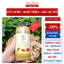 GỪNG NGHỆ HẠT GẤC HẠ THỔ [ KHÔNG VÀNG QUẦN ÁO ] MOM VIỆT THOA BODY BỤNG GIẢM EO THÂM RẠN KHỬ MÙI MẸ SAU SINH