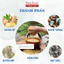 GỪNG NGHỆ HẠT GẤC HẠ THỔ [ KHÔNG VÀNG QUẦN ÁO ] MOM VIỆT THOA BODY BỤNG GIẢM EO THÂM RẠN KHỬ MÙI MẸ SAU SINH