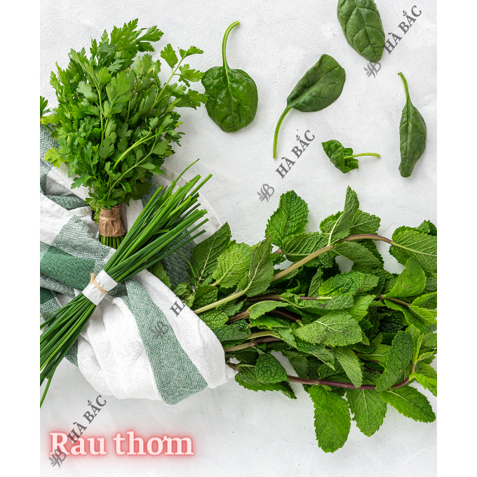 Hạt Giống Rau Thơm RADO Dễ Trồng Và Chăm Sóc, Mọc Quanh Năm - Hạt giống Rau Củ Quả Rạng Đông