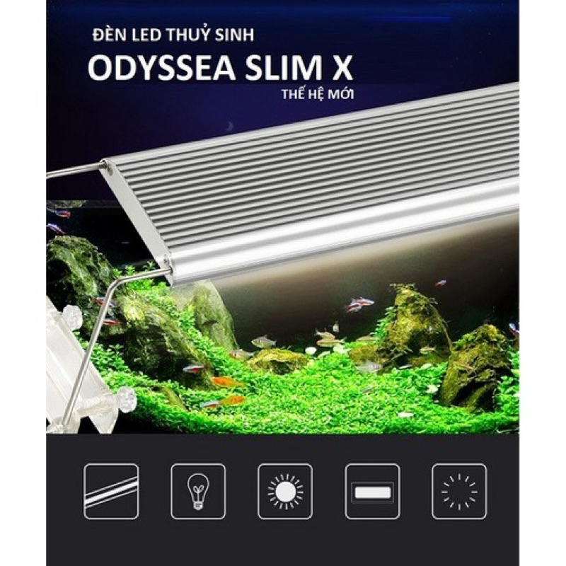 Đèn led ODYSSEA SLIM X 600 900 ánh sáng 10000k cho hồ cá 60-100 cm ...