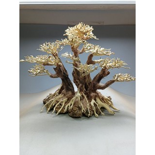 Cây gỗ lũa Bonsai dành cho bể cá cảnh, bể thủy sinh. Mẫu Cụm rừng cho bể cá 50-90 cm