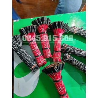 Combo 100 chiếc giắm cắm còi