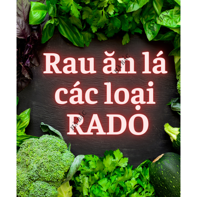 Hạt Giống Rau Ăn Lá RADO Sinh Trưởng Tốt, Trồng Quanh Năm, Dễ Chăm Sóc - Hạt Giống Rau Củ Quả Rạng Đông