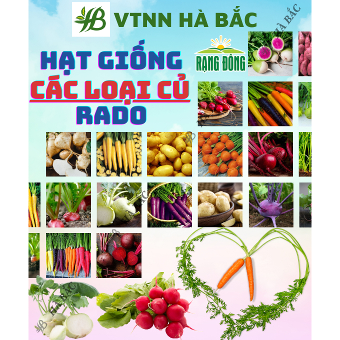 Hạt Giống Củ Cải, Cà Rốt, Su Hào, Atiso RADO Sinh Trưởng Khỏe, Trồng Quanh Năm, Hạt Giống Trồng Chậu Rạng Đông