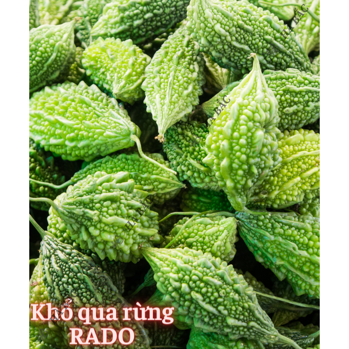 Hạt giống Mướp Ngọt - Mướp Đắng (Khổ Qua) Dễ Thu Hoạch, Trồng Quanh Năm - Hạt Giống Rau Củ Quả Rạng Đông