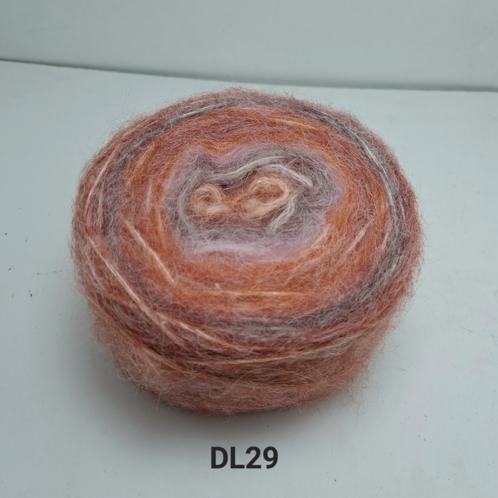 DL29