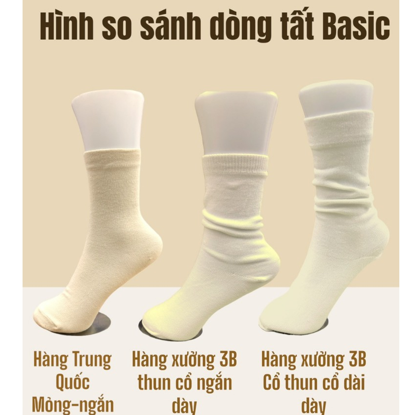 Vớ cao cổ nữ trắng trơn basic chất cotton pha 3B khử mùi, thoáng khí cổ thun ngắn, dài, cổ thấp Sỉ tất toàn quốc [Basic]
