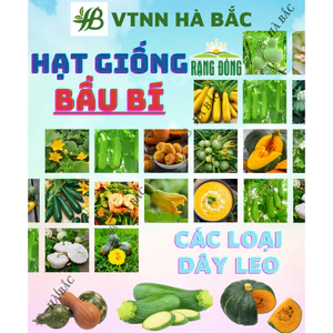 Hạt Giống Bầu - Bí RADO Trồng Quanh Năm, Sinh Trưởng Tốt, Dễ Thu Hoạch - Hạt Giống Rau Củ Quả Rạng Đông