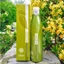 Dầu gội - Orzen Orgahealing Shampoo - Dầu gội chống rụng tóc (320g) - LT