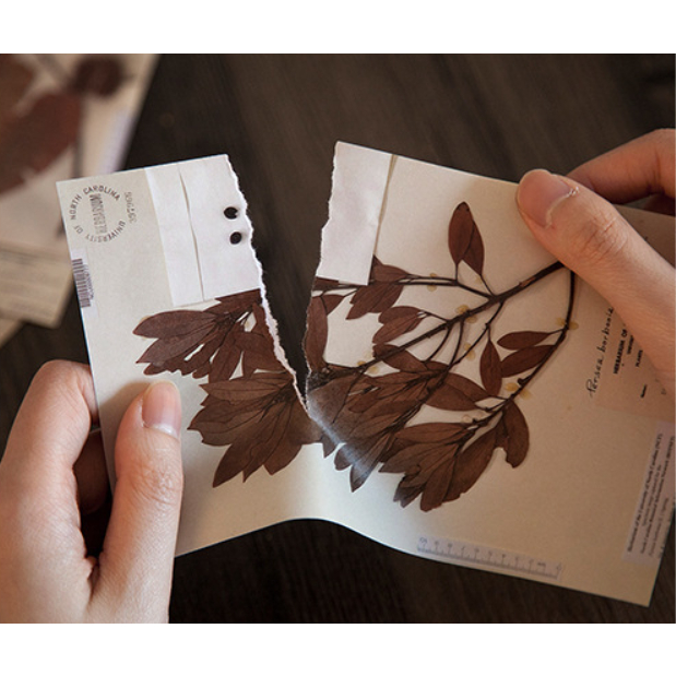 Sticker và giấy nền vintage set 10 tấm dán sổ tay DIY Crafts, Scrapbook, Journal, Diary, Planner HD233 - K78.