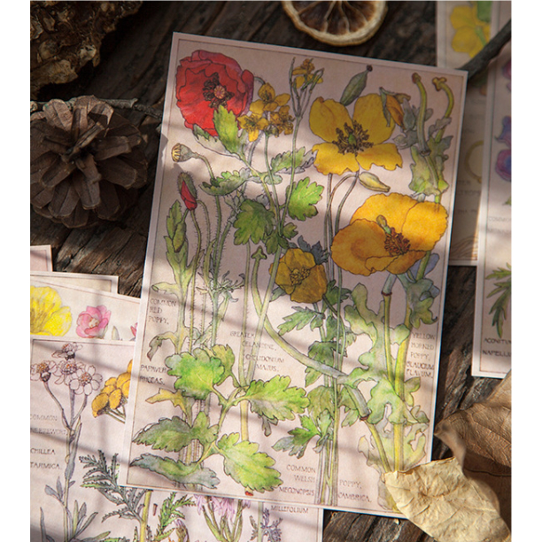 Sticker và giấy nền vintage set 10 tấm dán sổ tay DIY Crafts, Scrapbook, Journal, Diary, Planner HD233 - K78.
